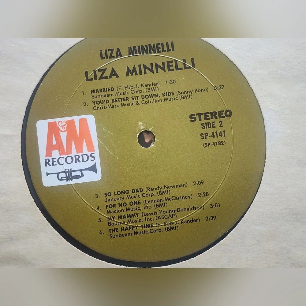 Liza Minnelli Self Titled Vinyl LP AM Records SP 4141 - Picture 5 of 6